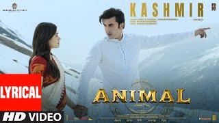 ANIMAL:KASHMIR(Lyrical) | Ranbir Kapoor,Rashmika,Anil K,Bobby D|Sandeep V|Shreya G,Manan B|Bhushan K