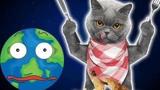 Котик Едун и съедобная планета, мультик игра Детский летсплей, Tasty Planet #3