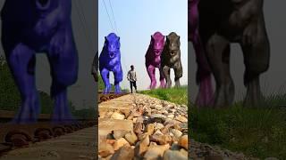 dinosaur attack animation video and vfx #dinosaur #vfx #funny #sigma