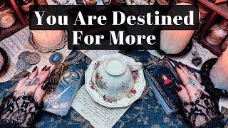 You Are Destined For More. Life Is About To Get Better Than This For You - Coffee & Tarot Reading