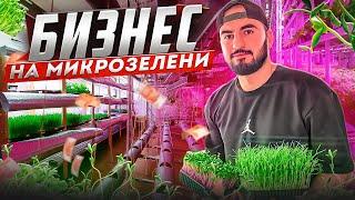 Как Начать Бизнес с Нуля Микрозелень Как Открыть Свою Ферму Микрозелени Бизнес на Микрозелени