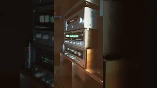 The Vinyl/stereo speaker system || edit ||