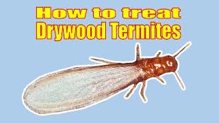 How to Spot Treat a Drywood Termite Infestation Yourself.  A MUST see if you have Drywood termites.