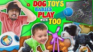 DOG TOYS vs TV! FUNnel Family Vlog