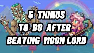 5 things to do after beating Moon lord