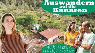 Auswandern auf die Kanaren: So schön kann das Leben im Tiny House mit Kind sein #lapalma #aussteiger