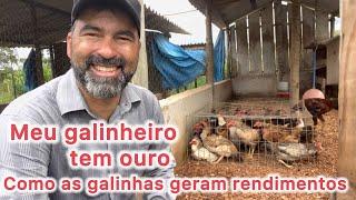 OURO NO GALINHEIRO : A RIQUEZA ESCONDIDA NA CRIAÇÃO DE GALINHAS CAIPIRAS