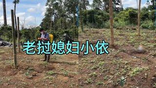 老挝媳妇小依