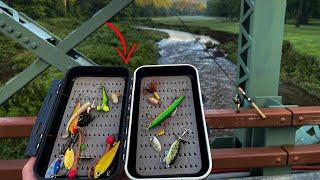 Trout Fishing Tackle Box MUST HAVE Lures + TOPWATER Trout Challenge