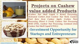 Projects on Cashew value added Products.