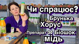 Які препарати обрати для першої обробки саду. Фунгіциди при низькій t