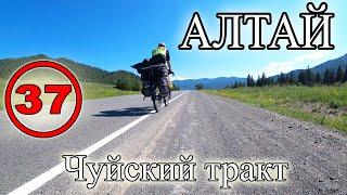 Чуйский тракт на велосипеде. Велопутешествие по Алтаю с палаткой по России в одиночку. Онгудай