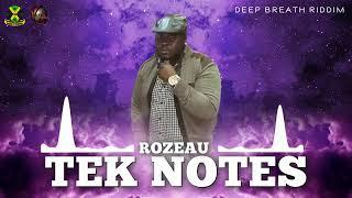 Rozeau Tek Note ( official Audio)