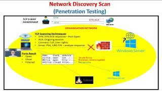 Network Discovery Scan