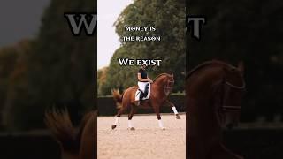 #equestrian #horse #edit #showjumping #viral #trending #equines #equestrianvibes #fyp #fypシ
