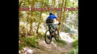 Pisgah Brevard, NC Black Mt Sycamore Cove Mountain Bike Trails