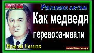 Как медведя переворачивали, Николай Сладков ,читает Павел Беседин