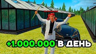 ПУТЬ БОМЖА #11 СКОЛЬКО МОЖНО ЗАРАБОТАТЬ НА ОГОРОДЕ В 2024 ГОДУ? ПОДНЯЛ ЛЯМ! RADMIR RP HASSLE ONLINE