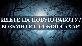 Идете на новую работу – возьмите сахар