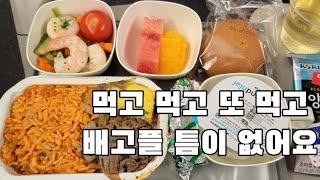 대한항공 인천-파리 탑승후기️ 뉴진스를 봤다! 기내식 간식 주류가 끊임없이 나오는 Korean Air