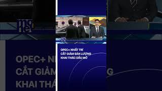 Opec+ thống nhất cắt giảm sản lượng khai thác dầu mỏ | VTVMoney