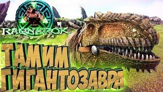 ПРИРУЧАЕМ ГИГАНТОЗАВРА, АЛОЗАВРА И ЭКВУСА - ARK Survival Evolved Выживание на Ragnarok #19