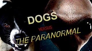 “Dogs Versus The Paranormal” | Paranormal Stories