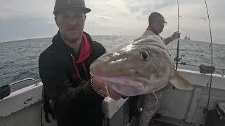 Huge Bullhuss & Cod on Deep Blue Fishing Charters Eastbourne