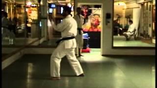 Seisan Kata Demo - Shorin Ryu Karate-do