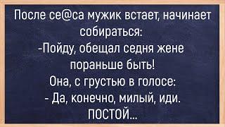 Как Конь Сожрал Поддон Кирпича! Сборник Свежих Анекдотов! Юмор, Позитив!