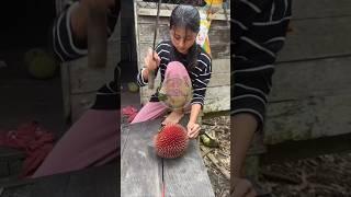 Buah Lahung//durian hutan