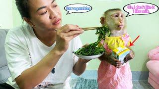 Monkey Lyly begged her mother to drink milk because she didn't want to eat vegetables.