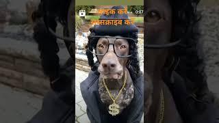 Neetudevi Rathour