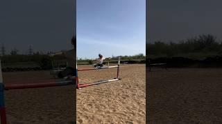 Level  #horse #horses #equestrian #training #riding #jumping