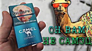 Обзор Сигарет CAMEL Compact