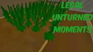 Legal Unturned Moments