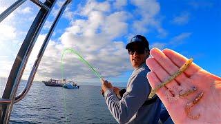 Fishing for King George Whiting on lures! EPIC SESSION!