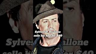 Why Sylvester Stallone sells his dog for $40?#shortvideo #shorts #fyp #news #sylvesterstallone
