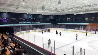 UW Women’s hockey practice squad vs Seattle Women’s hockey club