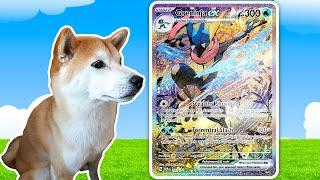 This Greninja Card Is Next Level 