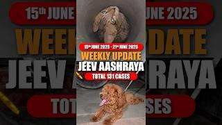 Weekly Update 13 | Rescue Operations & Other Activities | Jeev Aashraya Foundation