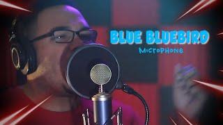 Testing the Blue Bluebird Mic: Rap/Pop Vocals Edition!