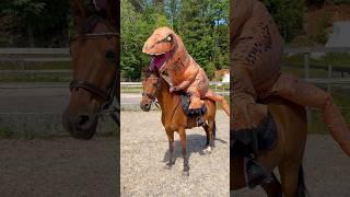T-REX and Tarzan JUMPING #shorts #horse #pony #trex