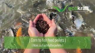 ECOKRAFT - Corn to fish feed pellets