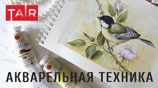 Рисунок акрилом: синица и шиповник. Мастер-класс по живописи акрилом или гуашью.