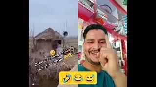 #most #funniest #viralvideo #viral #comedy #forfun #trending #animals