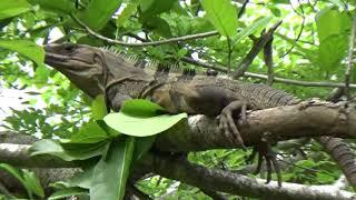 Costa Rica Expedition