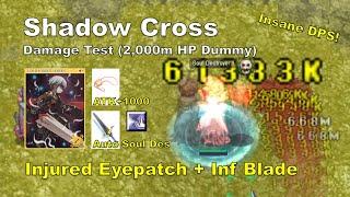 [BB iRO] Shadow Cross - "Auto Soul Destroyer" - Damage Test vs 2,000m HP Dummy - IRO Chaos