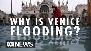 Why is Venice flooding? | ABC News