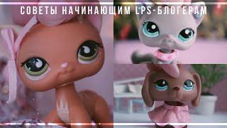 LPS: Советы начинающим lps-блогерам || СОВМЕСТНО С LPS Toffee и -Naomi-